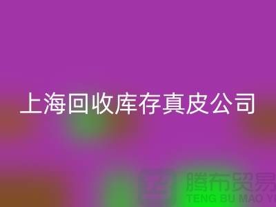 環(huán)保與創(chuàng)新：回收庫存真皮和羊皮的重要性_上海騰布貿(mào)易ShTengBu.com