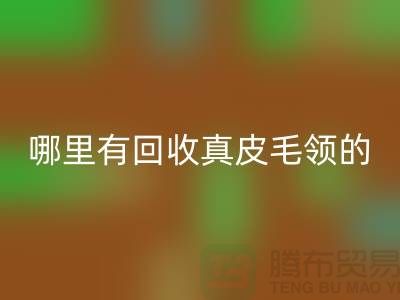 哪里有回收真皮毛領的地方-上海騰布貿易有限公司