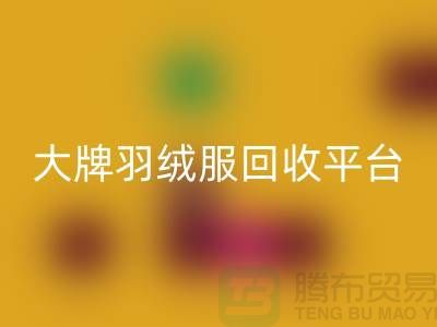 羽絨服煥新記：大牌回收，溫暖再續(xù)