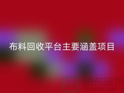 上海騰布貿易有限公司的二手布料回收平臺主要涵蓋以下項目