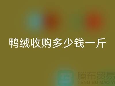 灰鴨絨、白鴨絨收購多少錢一斤