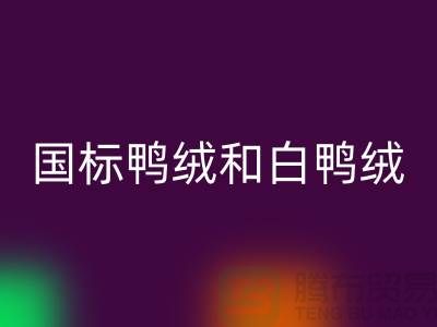 新國標鴨絨和白鴨絨的區(qū)別