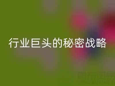 上海庫存布料回收市場：揭秘行業巨頭的秘密戰略